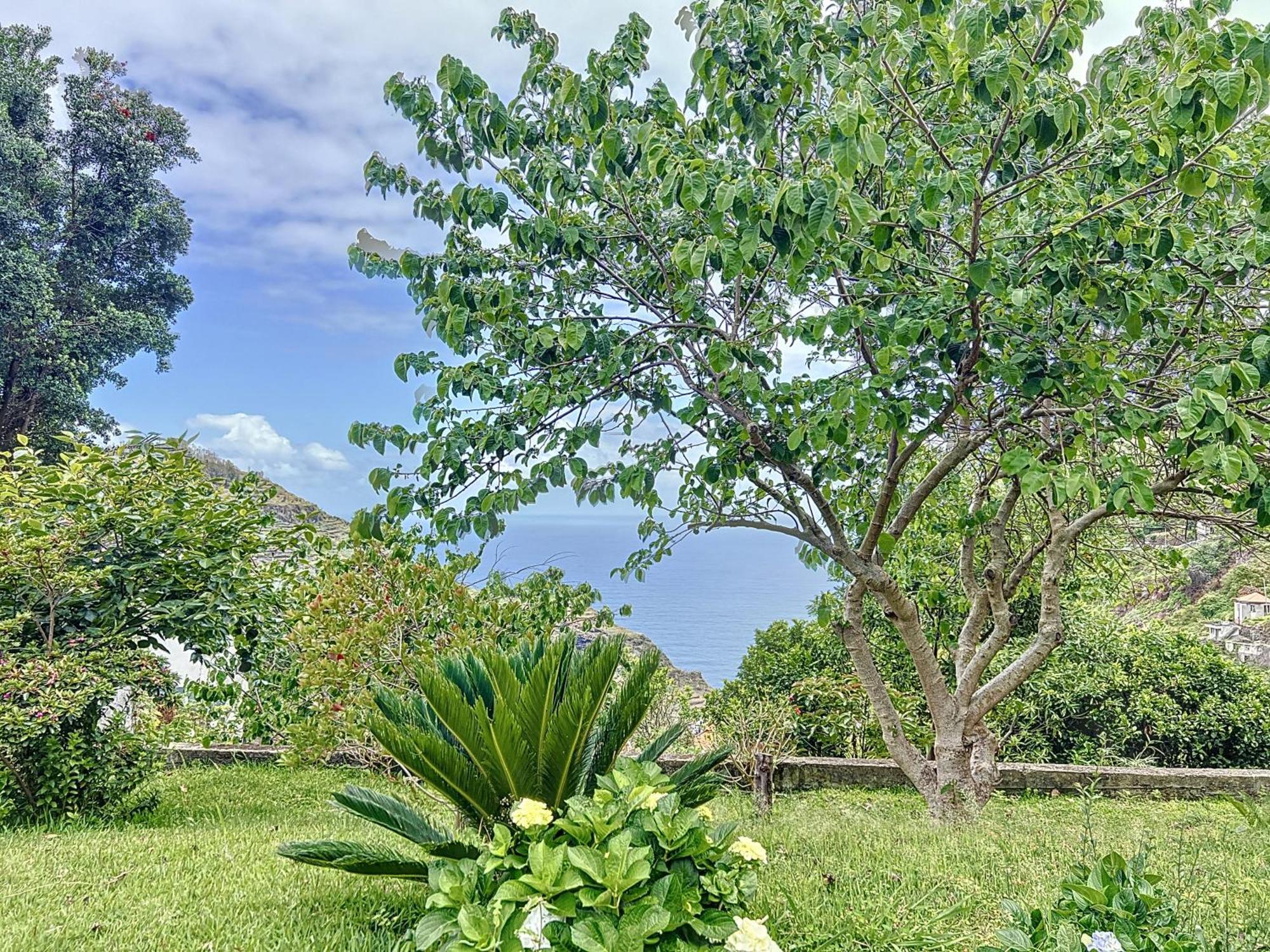 Quinta Do Serrado II Ribeira da Janela Eksteriør billede