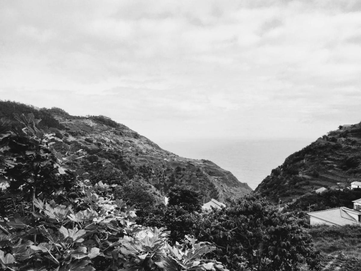 Quinta Do Serrado II Ribeira da Janela Eksteriør billede
